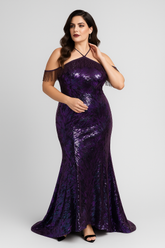Plus size Bling Dress1